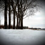 Ineke Jumelet - februari 2021